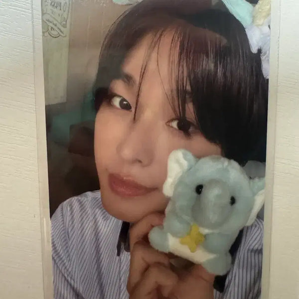 [BUNJANG] Everwish Riku Entrance Photocard / 에버위시 리쿠 입장포카