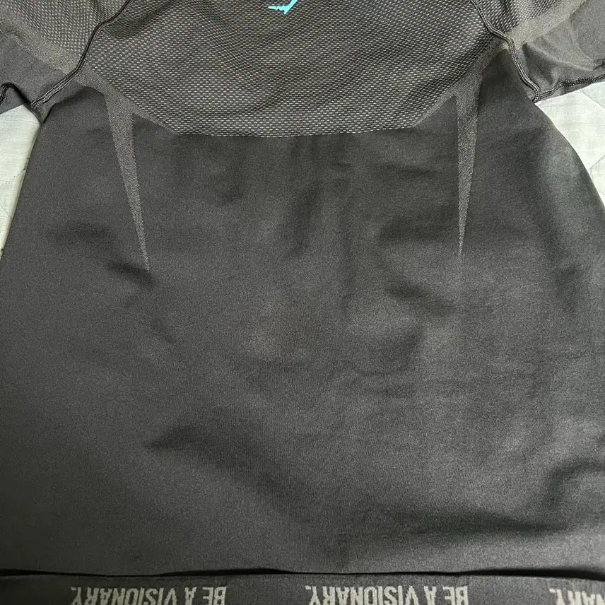 [BUNJANG] Gymshark Onyx V5 T-Shirt Blue Logo (L) / 짐샤크 오닉스 V5 블루로고 (L)