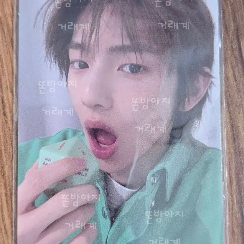 [BUNJANG] Bora (VERIVERY) Green Green Dice Ver. Photocard / 그린그린 다이스 GREEN GREEN Dice ver. 주훈 포카 양도