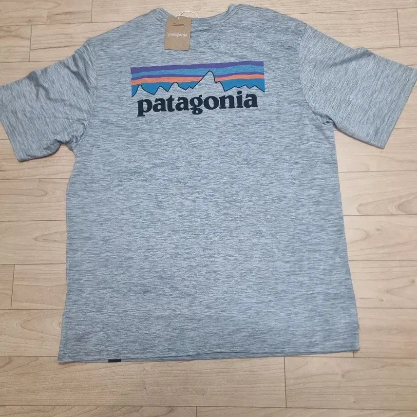[BUNJANG] Patagonia Functional T-Shirt Gray XL / 파타고니아 기능성 반팔티 그레이 XL