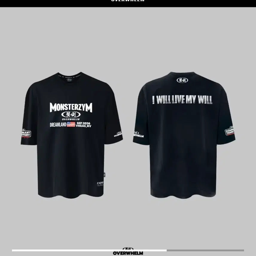 [BUNJANG] APDO x Monsterzym 2025 Limited Edition T-Shirt (3 Sizes) / (미개봉)압도x몬스터짐 2025 한정판 3사이즈 한정판압도올라잇본투윈
