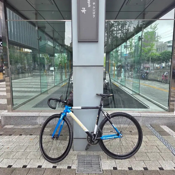 [BUNJANG] Engine11 Blueskin 49 Bicycle / 엔진11 블루스킨 49에 초초급처