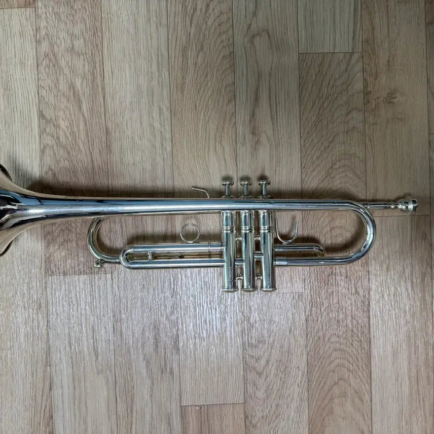 [BUNJANG] Stormbee S1 Trumpet with Bb + Bach 5C Mouthpiece / 스톰비 s1 Bb + 바하 5c 마우스피스
