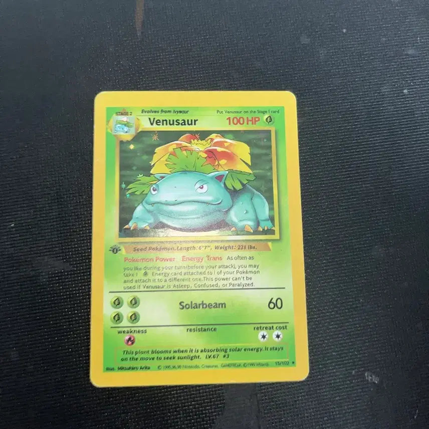 [BUNJANG] First Edition Bulbasaur English Version / 초판 이상해씨 영어판