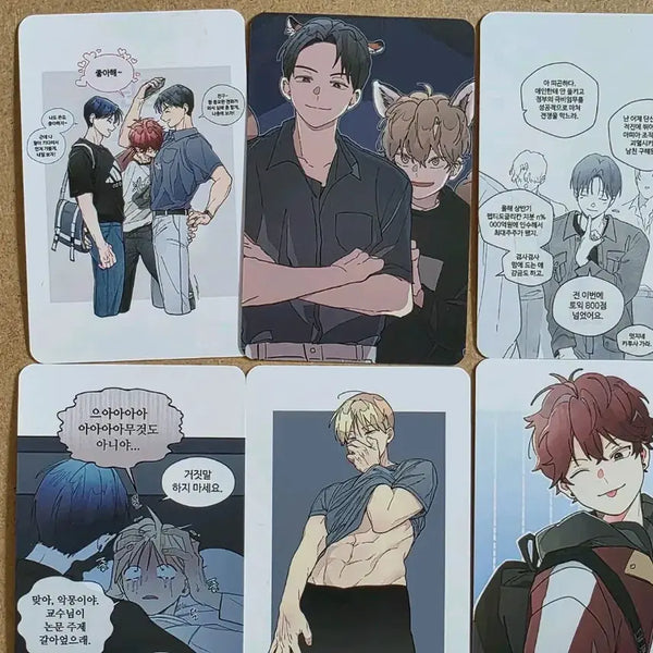 [BUNJANG] Toonique Wonroom Joojyo Room Defense Photocard Bundle Set / 투니크 원룸조교님 방포 포토카드 포카 일괄