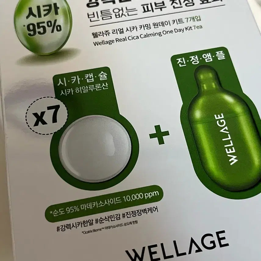 [BUNJANG] Wellage Cica Calming One Day Kit (7 Count) / 웰라쥬 시카 카밍 원데이 키트