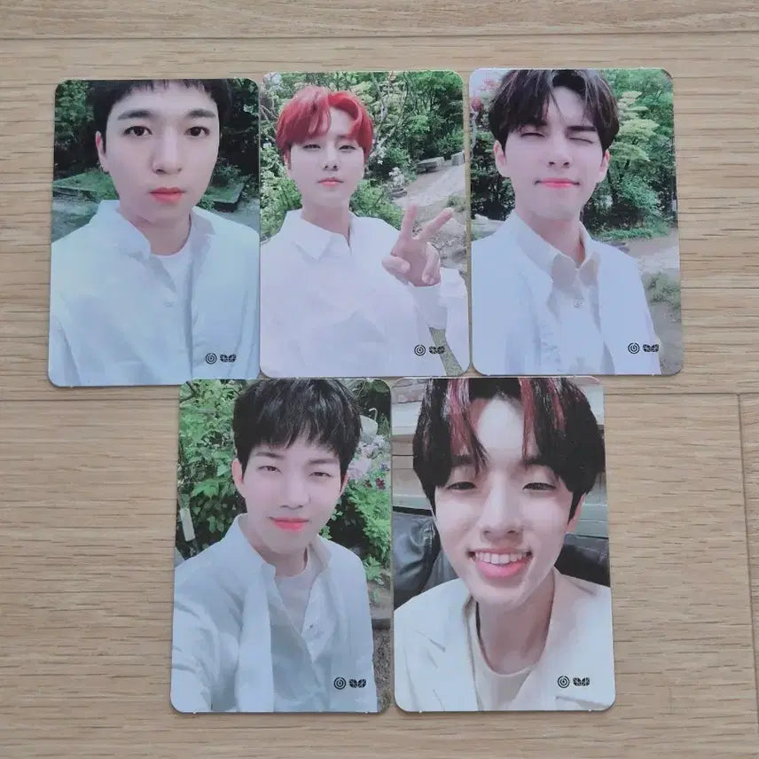 [BUNJANG] Day6 2nd You Made My Day 2019 Photocard Set / 데이식스 팬미팅 포토카드 세트 양도