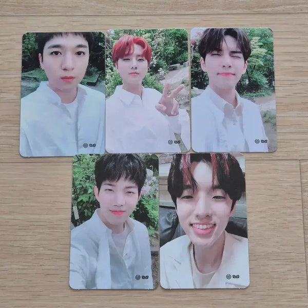 [BUNJANG] Day6 2nd You Made My Day 2019 Photocard Set / 데이식스 팬미팅 포토카드 세트 양도