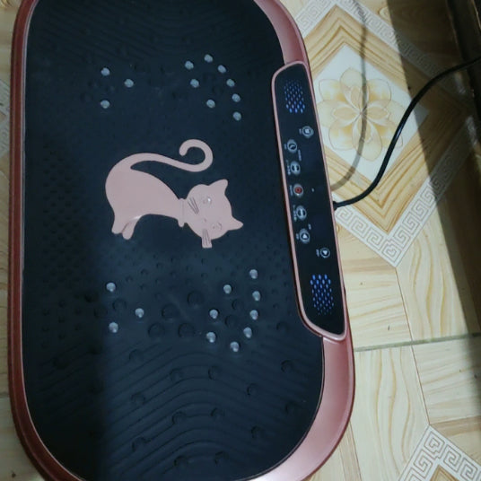 [BUNJANG] Home Training Vibration Body Slimmer Massager / 홈트레이닝 진동 바디슬리머 덜덜이 완전 새제품