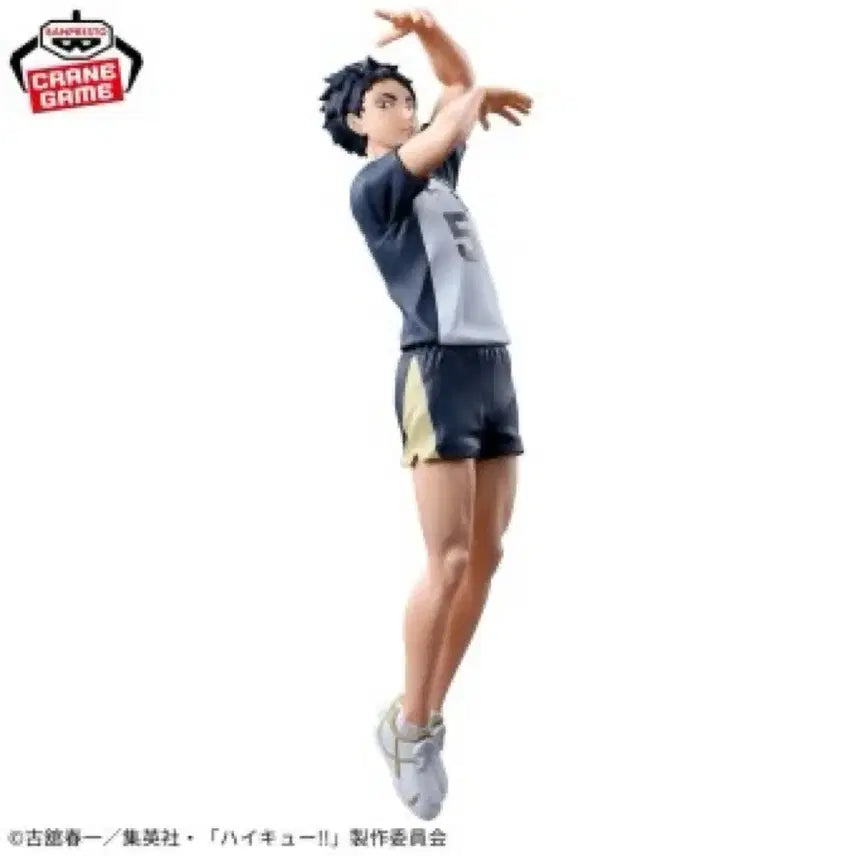 [BUNJANG] Haikyuu!! Akaashi Keiji Posing Figure / 하이큐 아카아시 포징 피규어