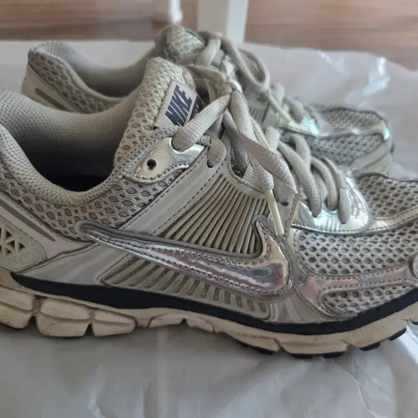 [BUNJANG] Nike Vomero 5 Photon Dust / (255)나이키 보메로5 포톤 더스트