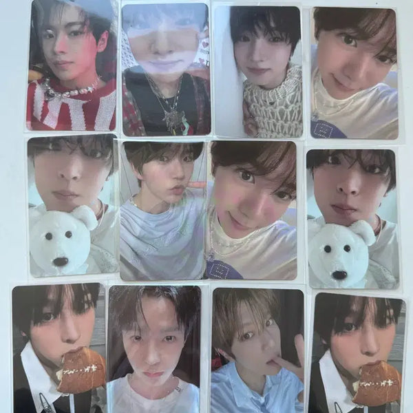 [BUNJANG] Wish Steady Show photocard / 위시 스테디 쇼케 특전 앨범포카 앨포 양도