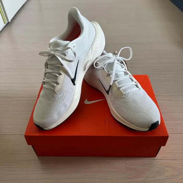[BUNJANG] Nike Pegasus 41 PQ Running Shoes / [275] 나이키 페가수스 41 PQ