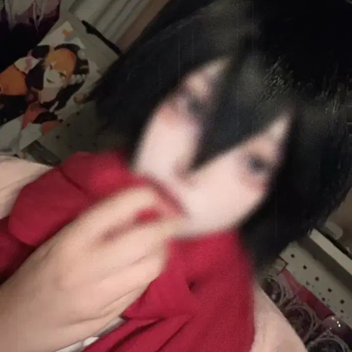 [BUNJANG] Mikasa Childhood Full Set L / 미카사 유년기 풀셋 L