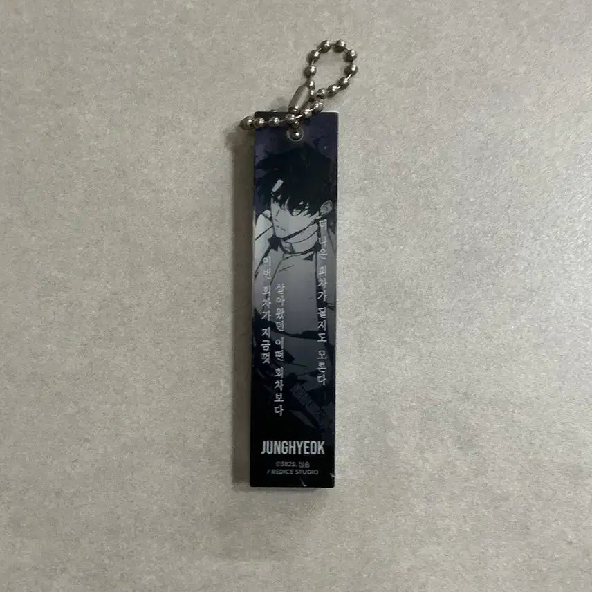 [BUNJANG] Omniscient Reader's Viewpoint My Opinion Keyring / 전독시 명언키링