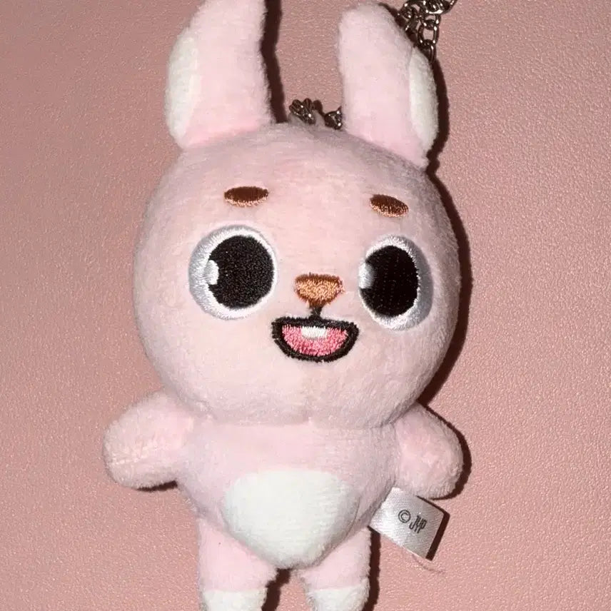 [BUNJANG] Day6 Young K Wonpil "Fil Fili" Japan MD Plush Doll / 데이식스 백참 필 필끼 일본MD 방 케 필 돈 원필 인형 양도