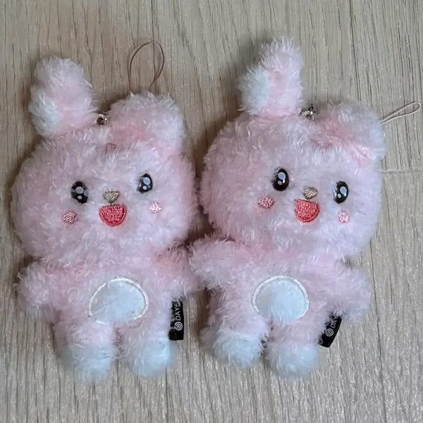 [BUNJANG] DAY6 Wonpil Unfiltered Secret Keychain Chorongpil / 원필 언필터드 시크릿 키링 초롱필
