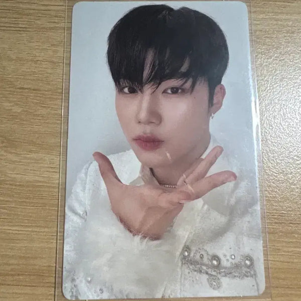[BUNJANG] ZB1 Park Gunwook Photocard / 제베원 박건욱 (가격 계속 내리는중)