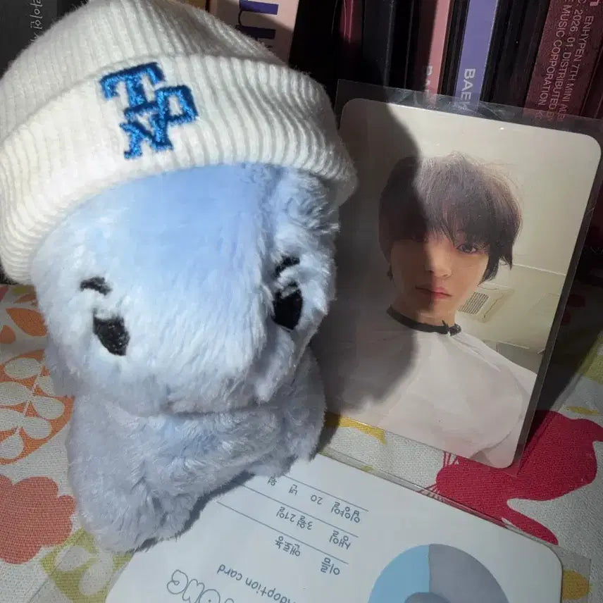 [BUNJANG] Get It Beauty Sungchan Photocard / 앤토뇽