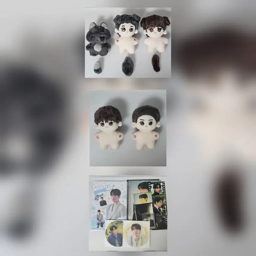 [BUNJANG] Lee Joon Hyuk Actor Bundle Set 'Wolffy' Plushies (Joo Sung-cheol, Han Jeong-woo, Ji Hyeong-joo, Malang Jeong-joo, Malang Dong-jae) & Cafe Merchandise / [일괄] 배우 이준혁 속성 솜인형(늑깅이(주성철) 댕정우(한정우) 포켓형주(지형주) 말랑형주 말랑동재(서동재))&생카굿즈