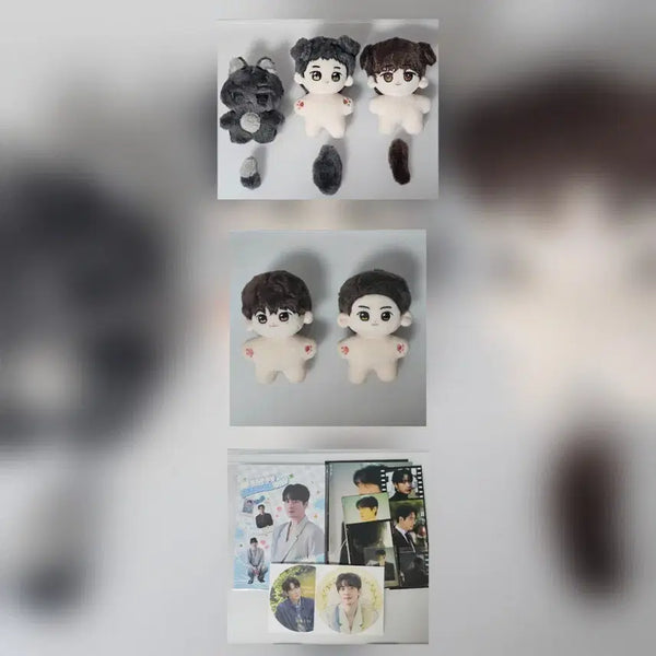 [BUNJANG] Lee Joon Hyuk Actor Bundle Set 'Wolffy' Plushies (Joo Sung-cheol, Han Jeong-woo, Ji Hyeong-joo, Malang Jeong-joo, Malang Dong-jae) & Cafe Merchandise / [일괄] 배우 이준혁 속성 솜인형(늑깅이(주성철) 댕정우(한정우) 포켓형주(지형주) 말랑형주 말랑동재(서동재))&생카굿즈