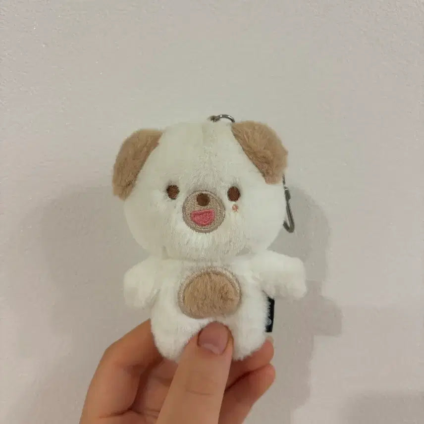 [BUNJANG] Day6 Dowoon Doll Ppedooni / 데이식스 도운 인형 쁘돈이