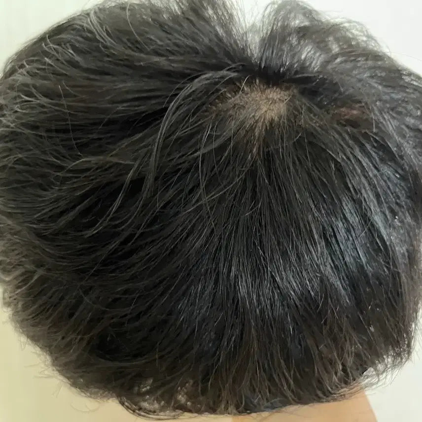 [BUNJANG] Men's 100% Human Hair Wig / 남성 인모 가발