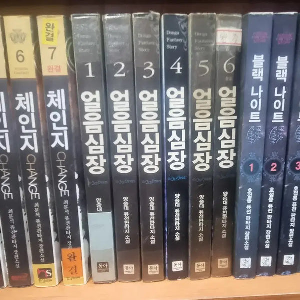 [BUNJANG] Eumsim Heart Volumes 1-6 (Complete) by Yang Seung-dae - Fusion Fantasy Novel Set / 얼음심장 1-6 완 양승대 퓨전 판타지 소설