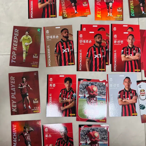 [BUNJANG] FC Seoul Sunmin Moon Silver Player Card / FC서울 선수 문선민 은색