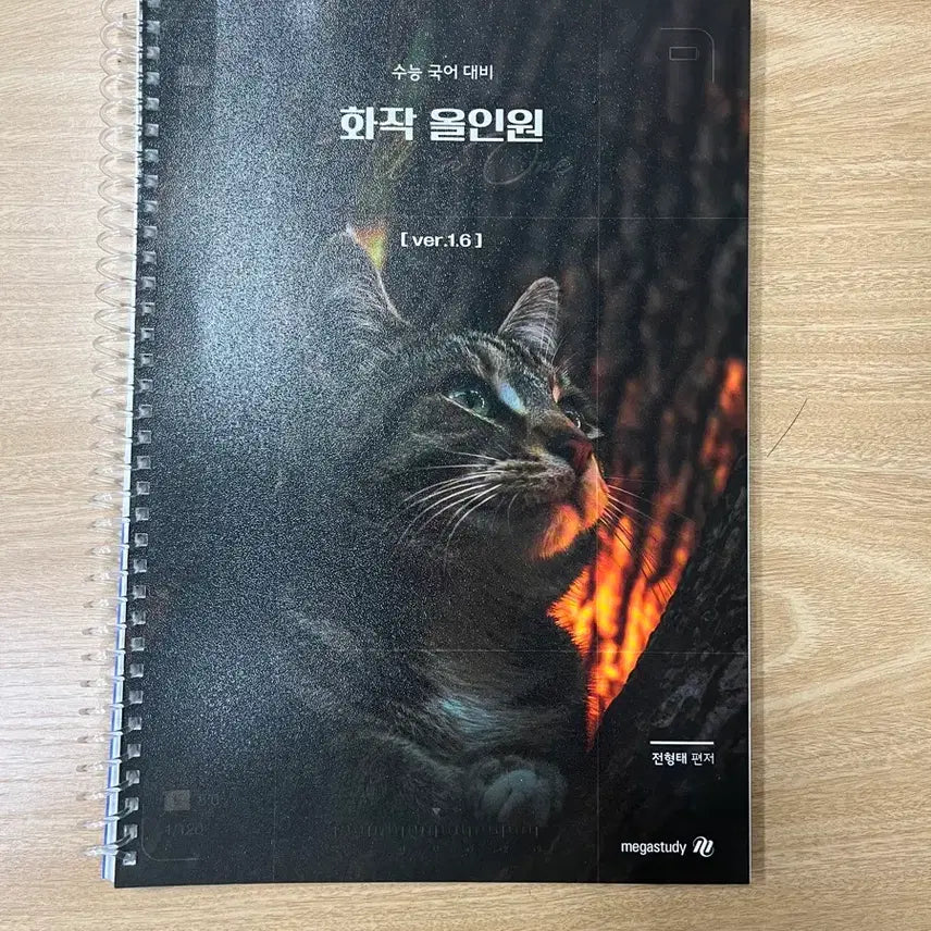 [BUNJANG] Megastudy Hwajak All-in-One Textbook [ver.1.6] / 메가스터디 화작 올인원 [ver.1.6]