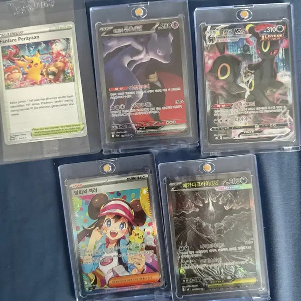 [BUNJANG] Pokemon Cards - Mewtwo, Black Kyurem, Mega Darkrai, N, Panpour / 포켓몬 카드 판매 및 교환