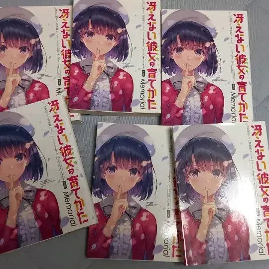 [BUNJANG] Saekano Memorial Special Edition Novel Book Set / 사에카노 메모리얼 특전 소설책