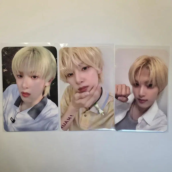 [BUNJANG] Masato Bundle Set / 마사토 일괄