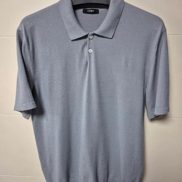 [BUNJANG] Allegri Sky Blue Rayon Knit Polo T-Shirt / (L) 알레그리 하늘색 레이온 니트 카라티셔츠
