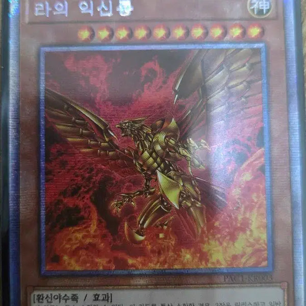[BUNJANG] Raijin the Dragon (PAC1-KR003) / 라의 익신룡 pac1-kr003