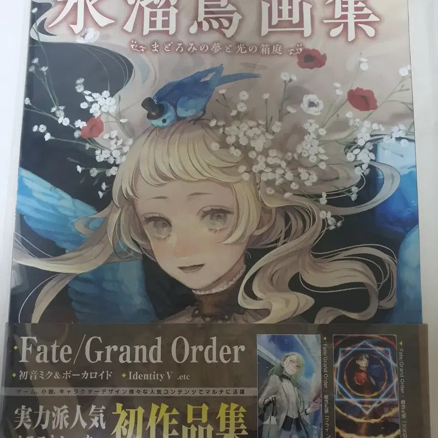 [BUNJANG] Mizutori Mizutamori Illustration Artbook / 미즈타메토리 화집