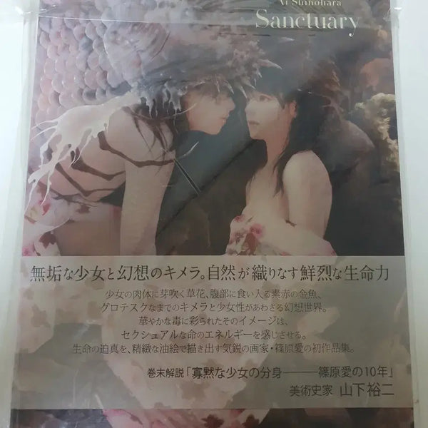 [BUNJANG] Shinohara Ai SANCTUARY Artbook / 시노하라 아이 SANCTUARY 화집