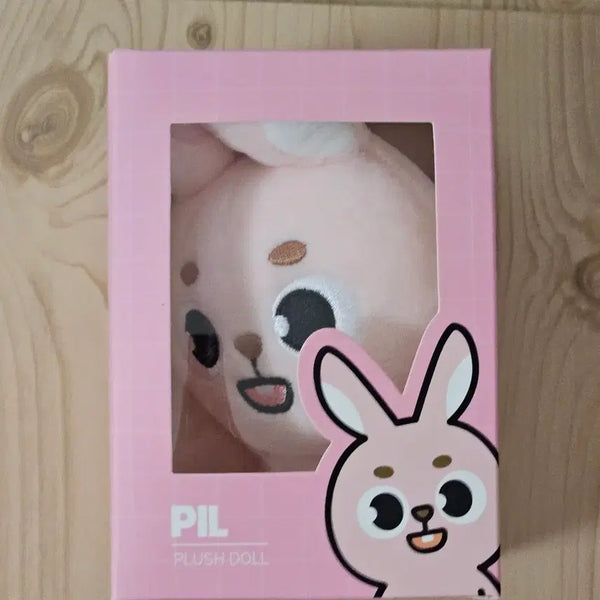 [BUNJANG] DAY6 Wonpil Danimals PhilPhil Photocard Holder (Sealed) / (미개봉) day6 데이식스 24 데니멀즈 필 원필 필끼