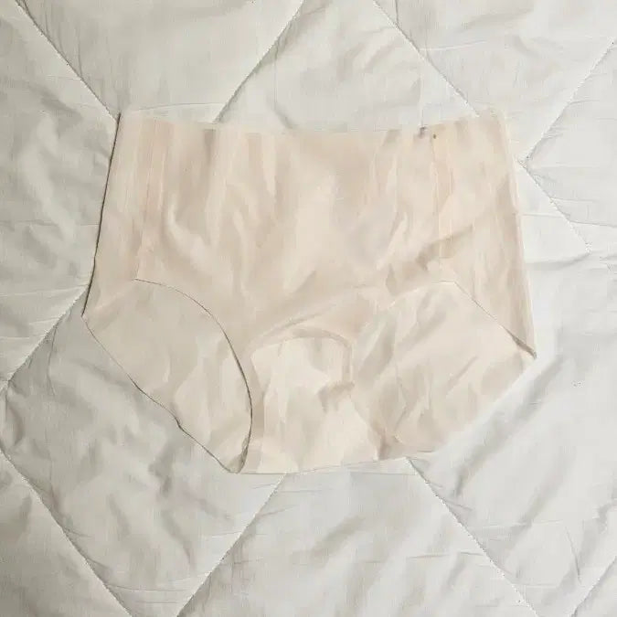 [BUNJANG] Beige Seamless Panties / 베이지 심리스 팬티 여성 속옷 중고