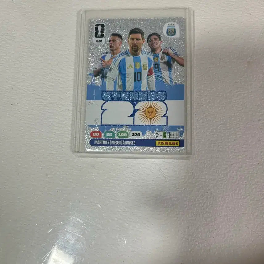 [BUNJANG] Panini Argentina Lionel Messi World Cup Card / 파니니 아르헨티나