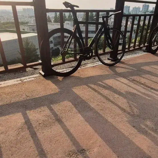 [BUNJANG] Rogas 2023 Road Bike / 로가스 2023년