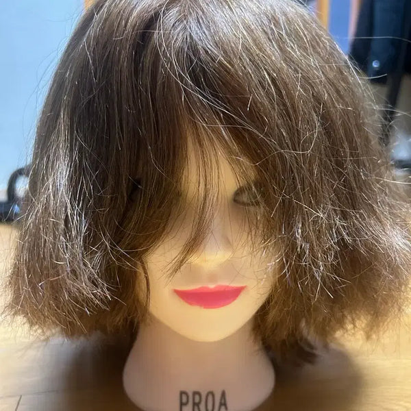 [BUNJANG] PROA 100% Human Hair Practice Wig for National Entrance Exams / PROA 연습용 프로아 100%인모 가발 프로아 국가 입시용 연습 미용 가발