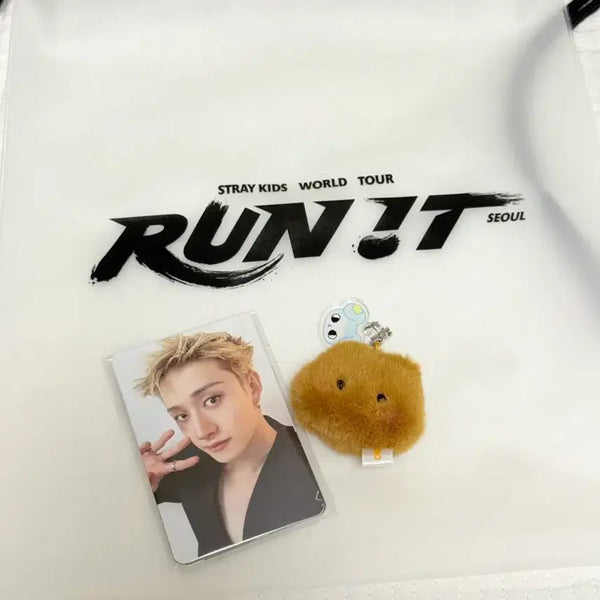 [BUNJANG] Stray Kids 3rd Day Concert Entry POB Photocard Bundle Set / 스트레이키즈 7/29 3일차 콘서트 입장 특전