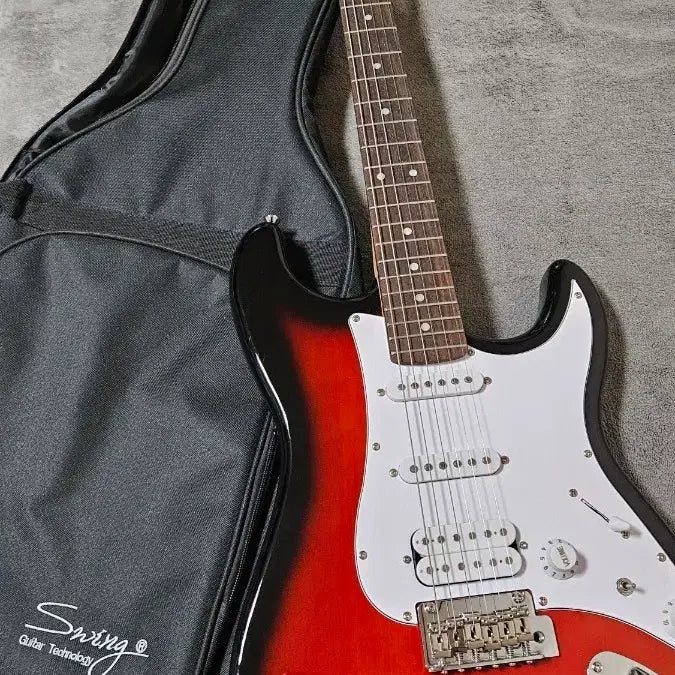 [BUNJANG] Swing S2se Electric Guitar / 관리A급 스윙 S2se 일렉기타