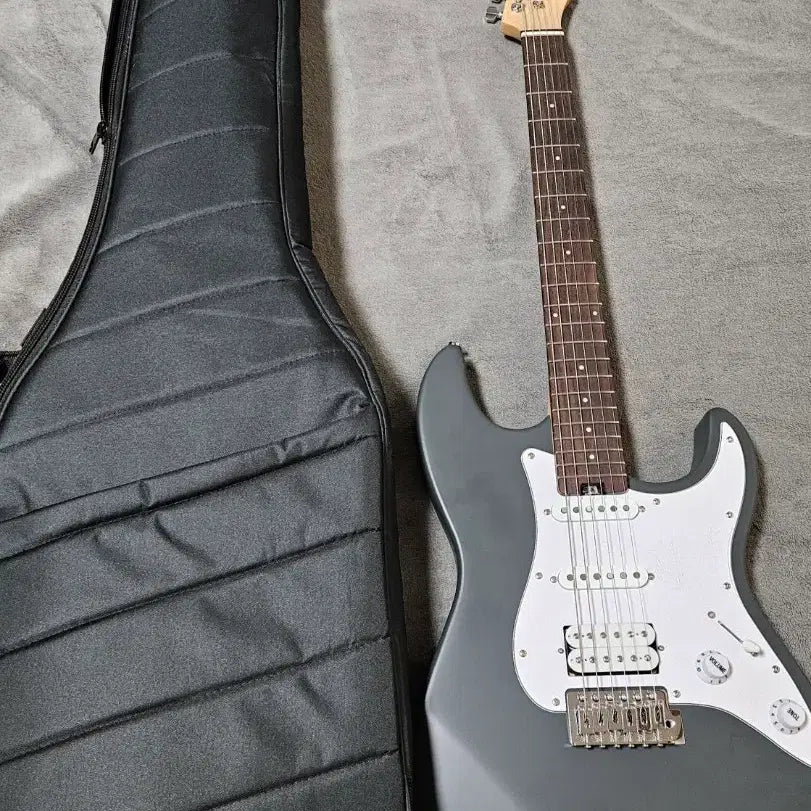 [BUNJANG] Haze E100 Electric Guitar / 거의미사용 헥스 E100일렉기타