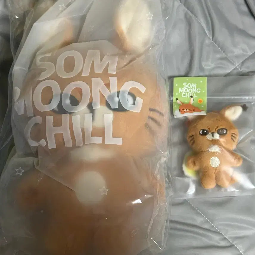 [BUNJANG] NCT 127 Johnny Bundle Set Big Cotton Doll Johnny Doll / 일괄 원가) Nct 엔시티 127 쟈니 - 빅뭉칠 솜뭉칠 쟈니칼