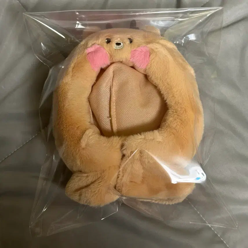 [BUNJANG] RIIZE Sungchan Woobam Lightstick Cover (Unsealed) / 단순개봉) 라이즈 성찬 우락밤 응원봉 커버