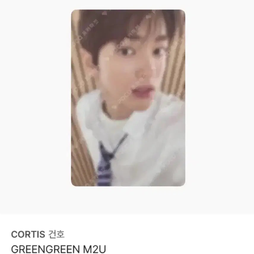 [BUNJANG] ONEUS Gunhee GREENGREEN Photocard / 코르티스 건호 GREENGREEN 그린그린 엠투유 포카