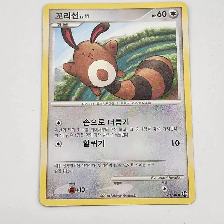 [BUNJANG] Pokemon Card Tails DP Ancient Card / 포켓몬카드 꼬리선 dp 고대카드