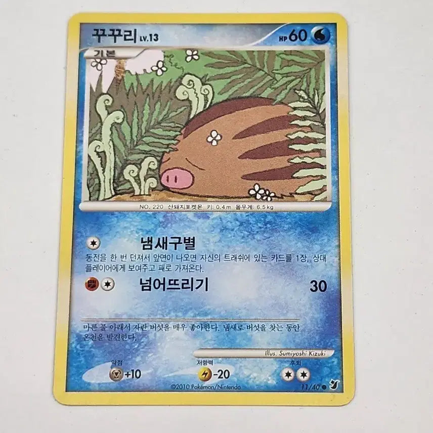 [BUNJANG] Pokemon Card Groudon DP Ancient Card / 포켓몬카드 꾸꾸리 dp 고대카드